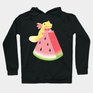 Snaxy Watermelon Hoodie